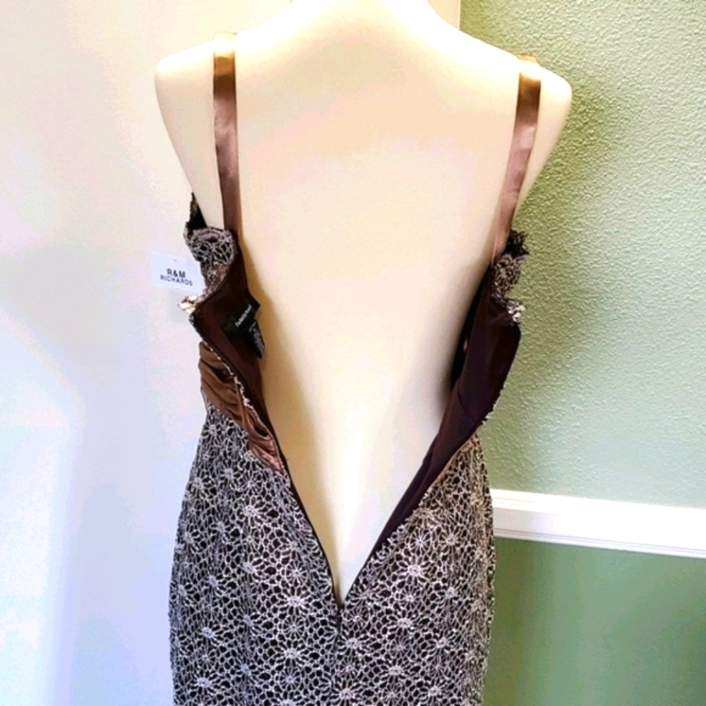 R&M RICHARDS EMPIRE WAIST SLEEVELESS LACE DRESS - Picture 6 of 9